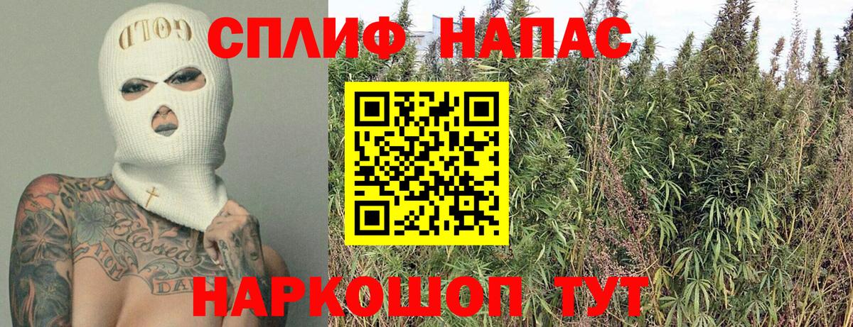 Марихуана гибрид Прокопьевск